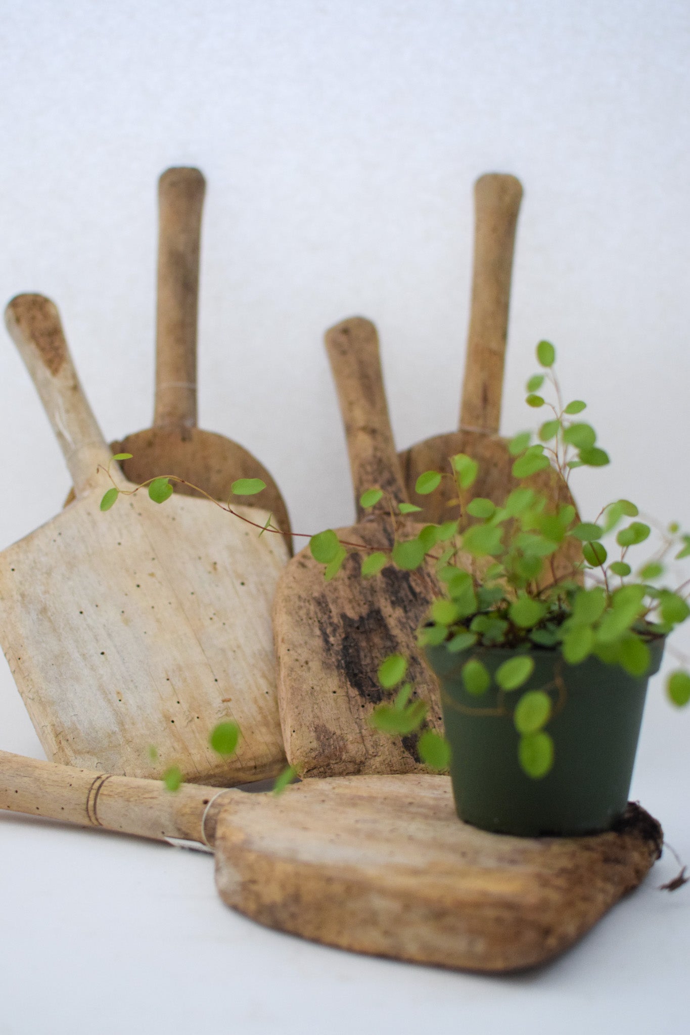 Decorative French Chopping Boards
