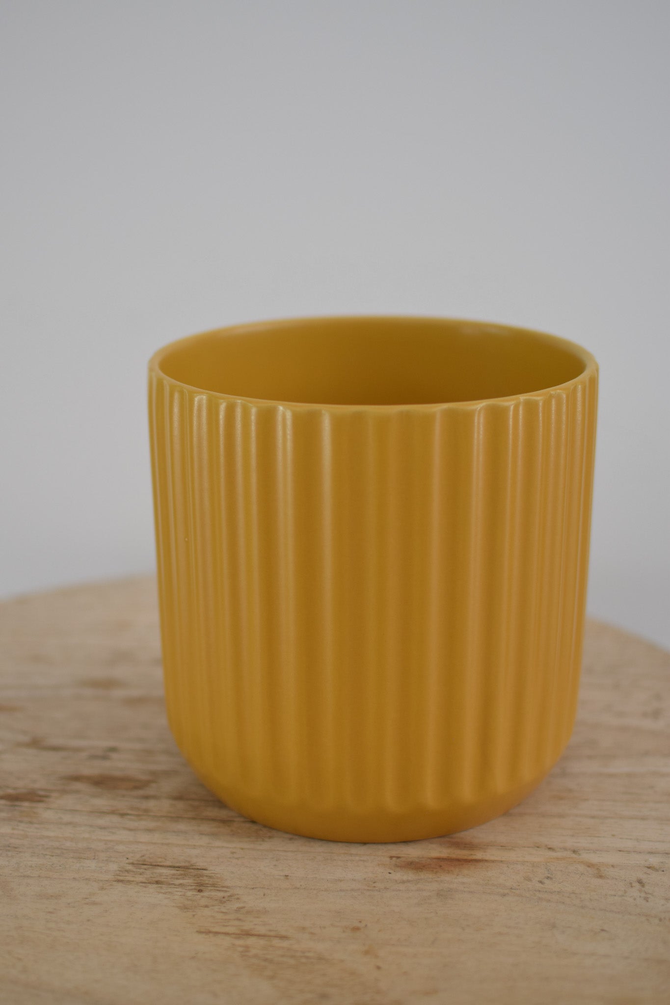 7" Georgianna Pot