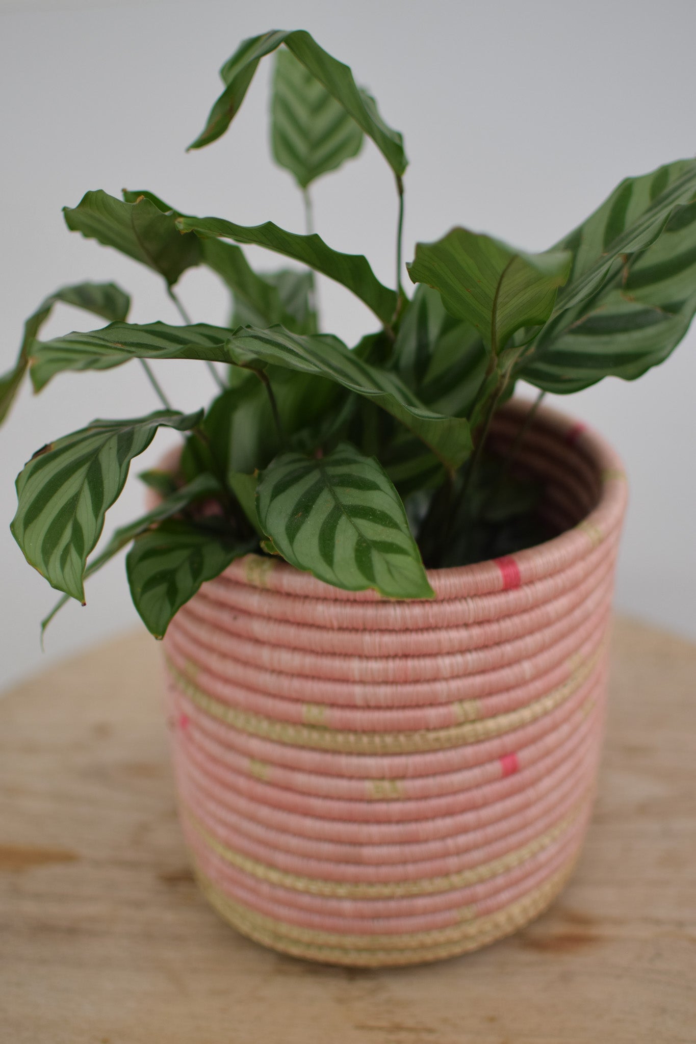 8" Muya Woven Basket