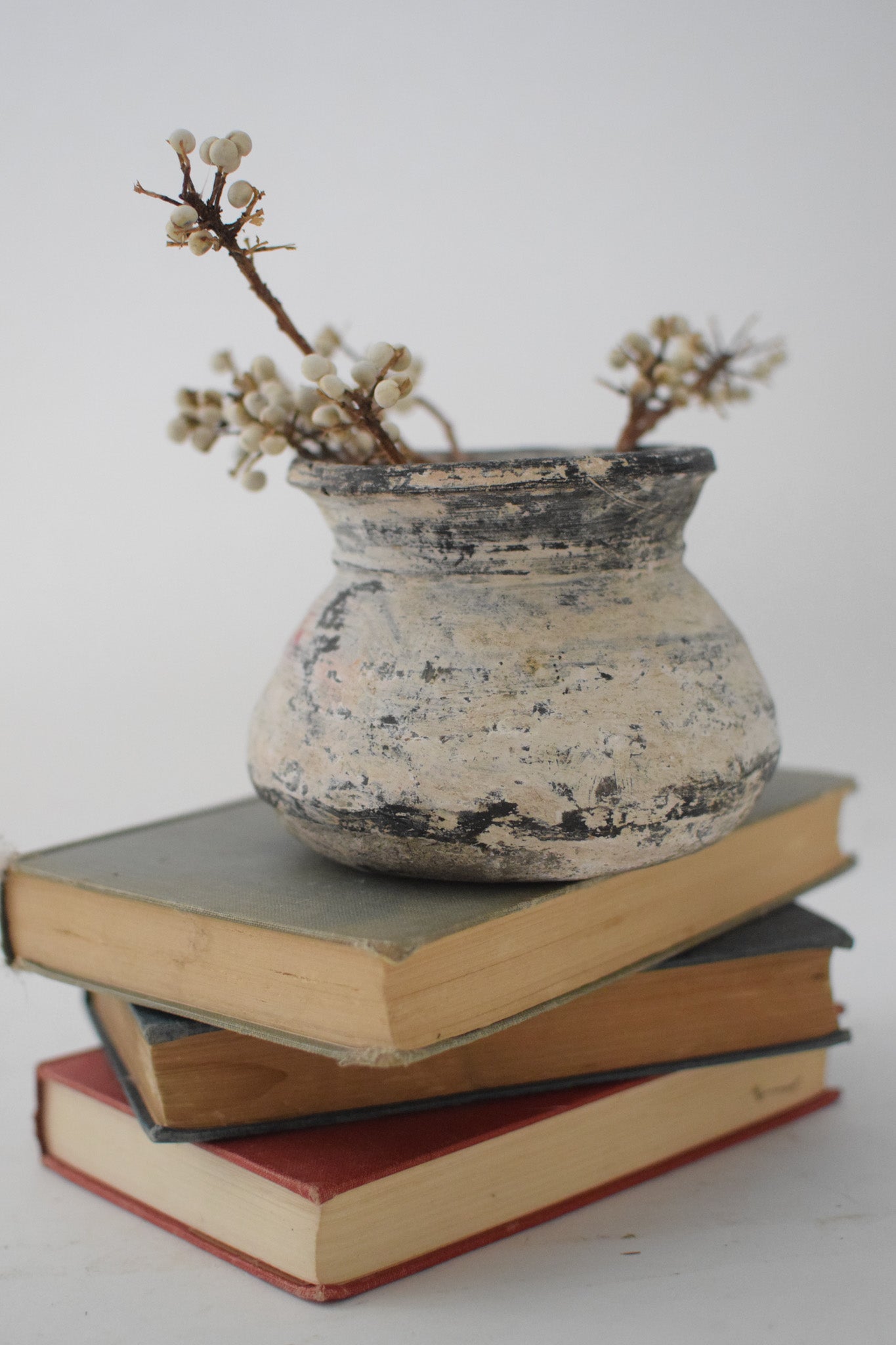 French Capucine Clay Pot