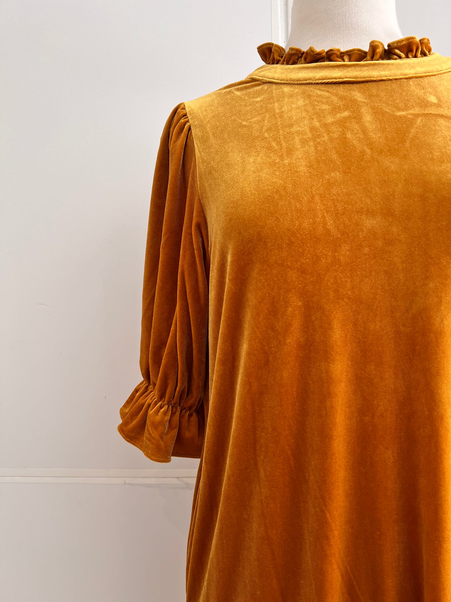 Mayvis Velvet Knee Dress