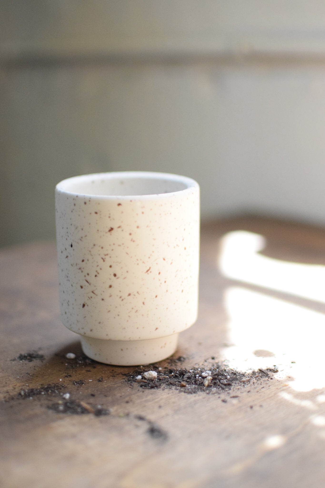 3" Speckled Mini Pot