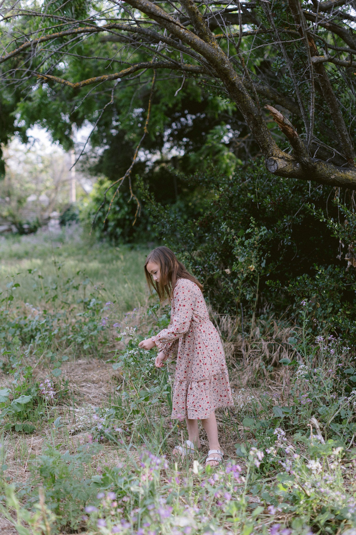 The Bernadette Dress