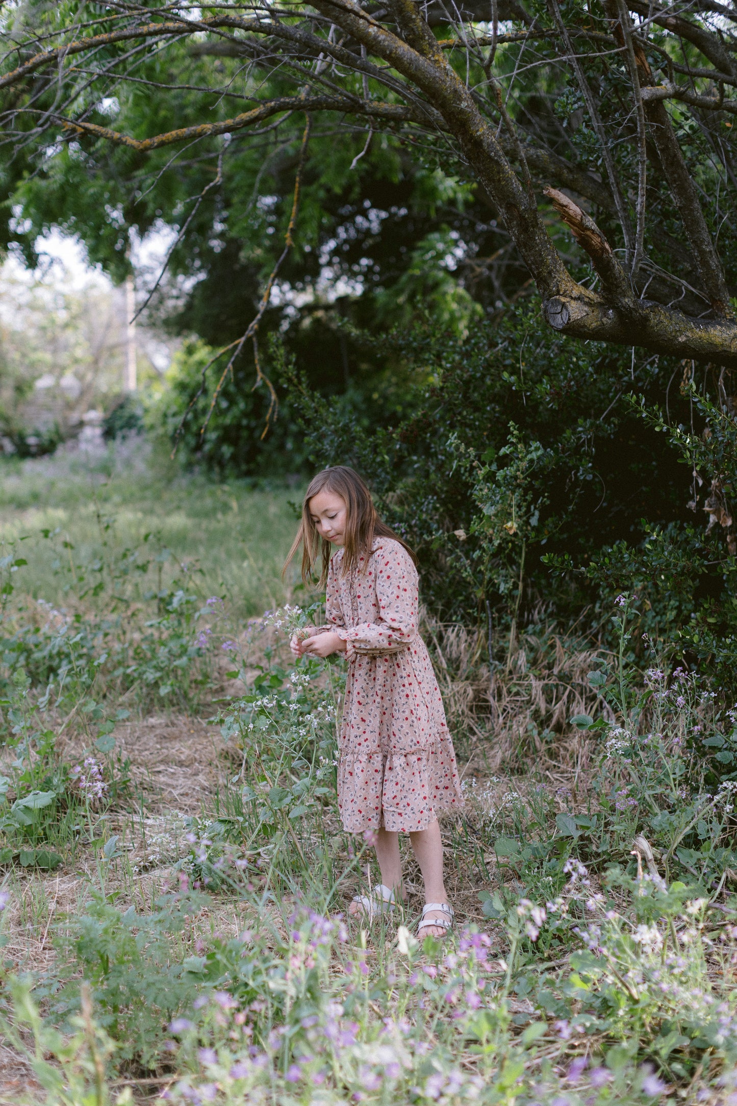 The Bernadette Dress