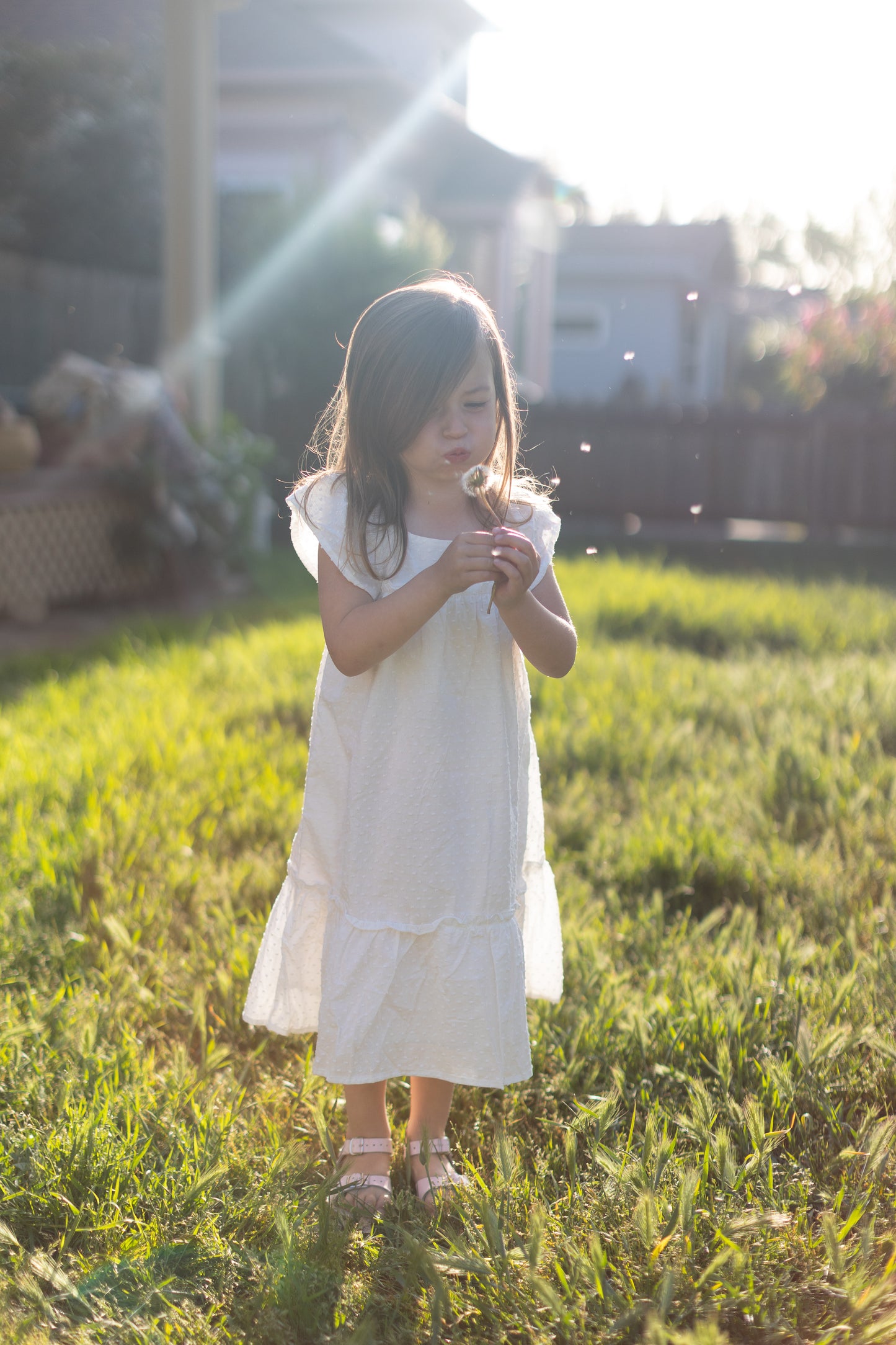 The Weslee Dress