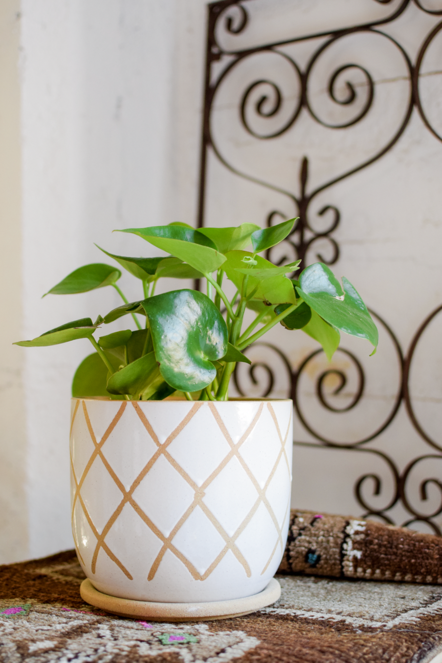 8" Tic Pot