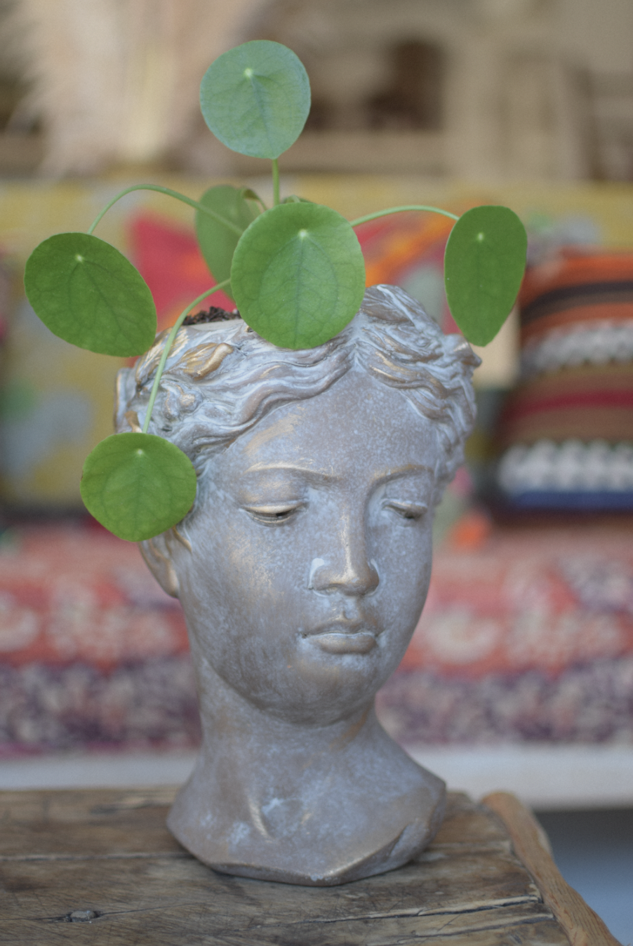 11" Greek Head Planter