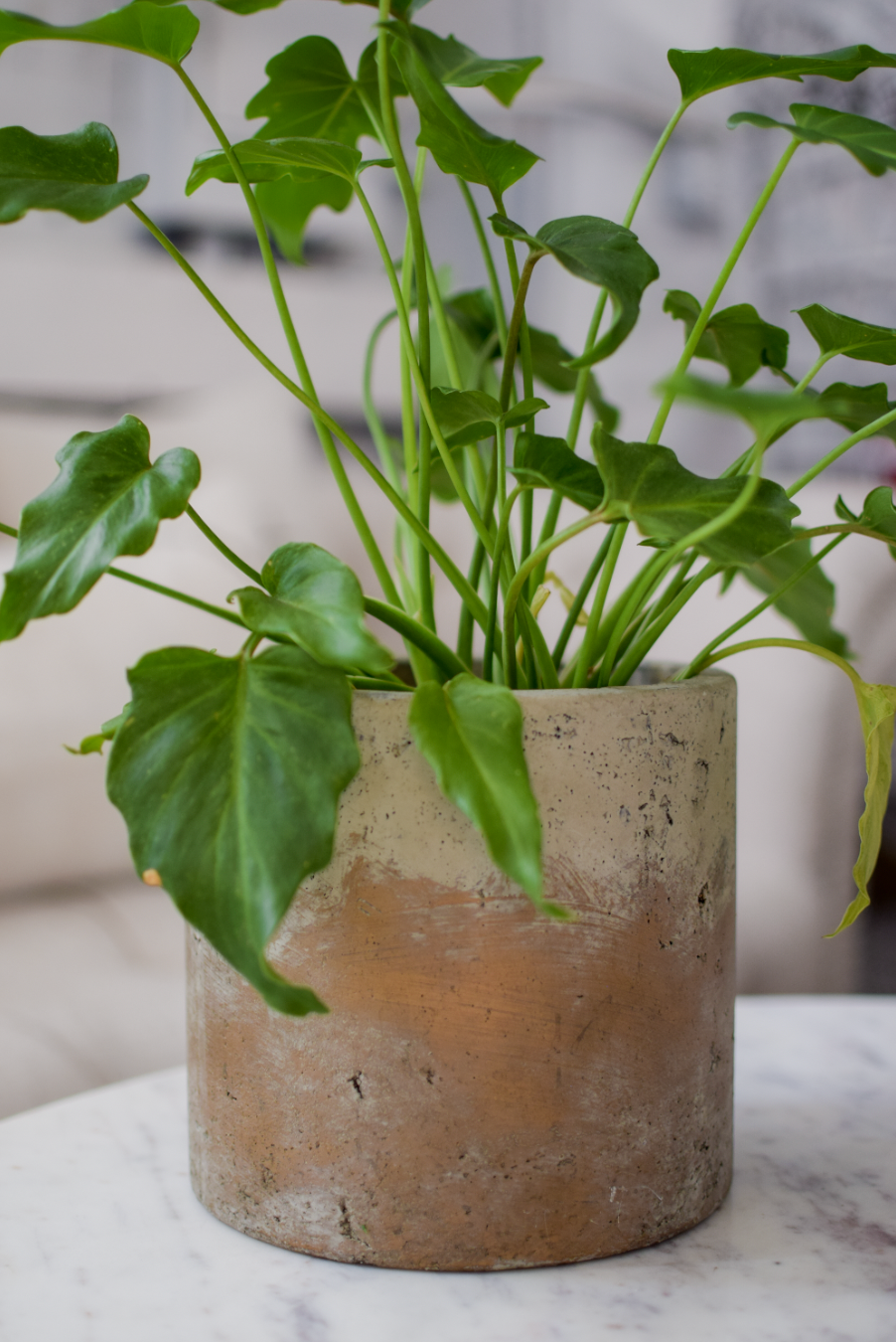 7" Brooks Cement Pot
