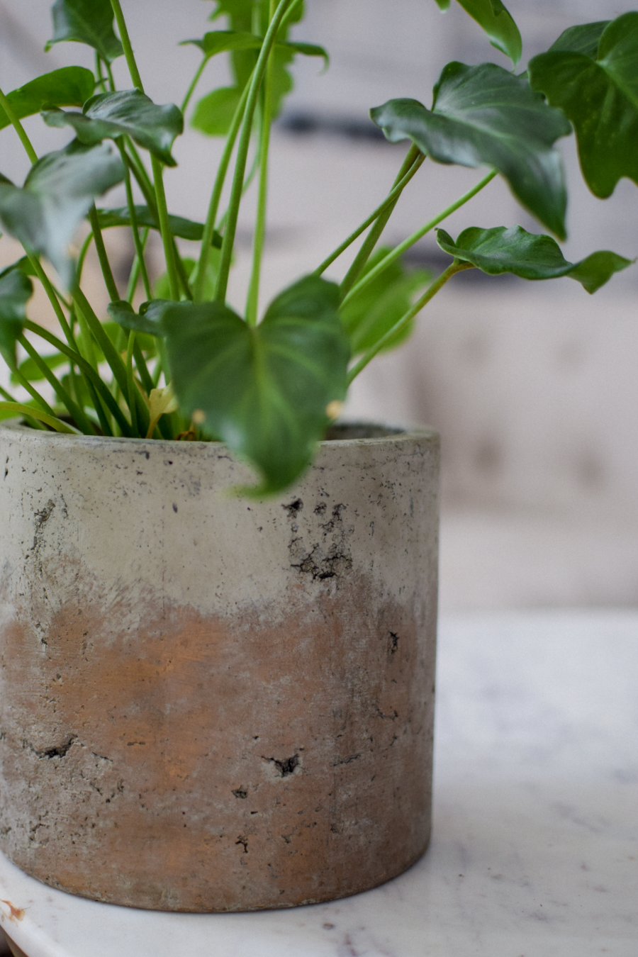 7" Brooks Cement Pot