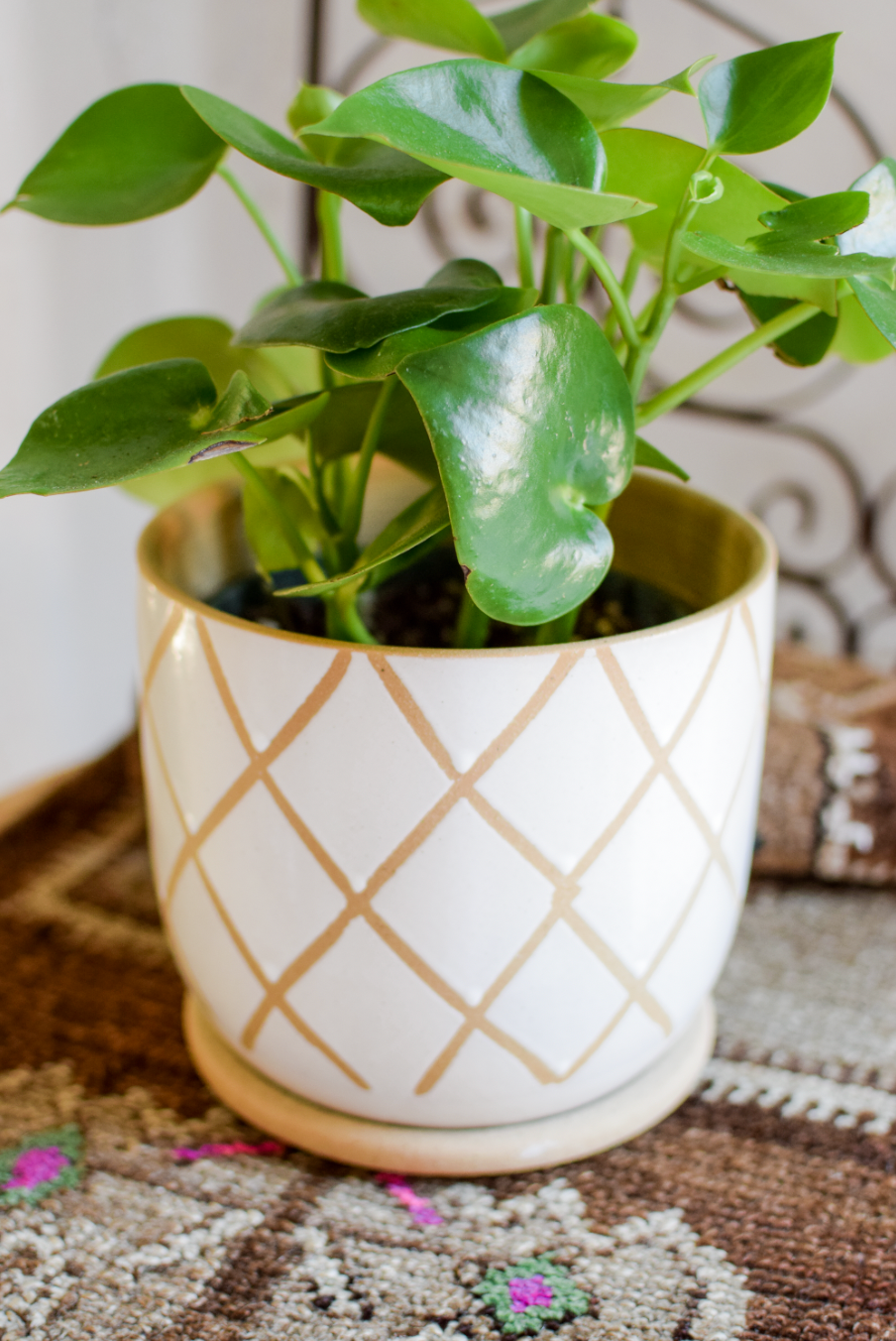 8" Tic Pot