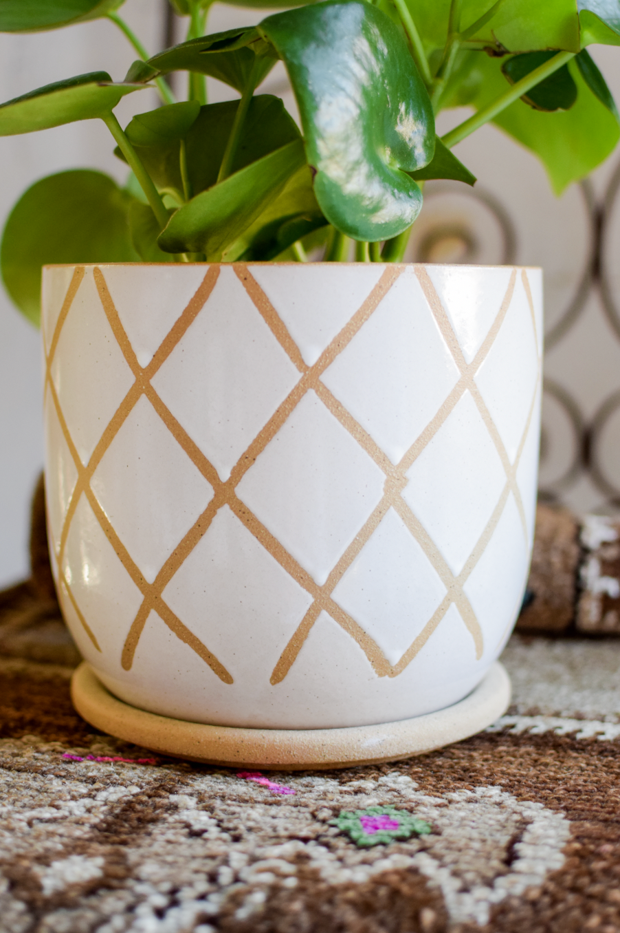 8" Tic Pot