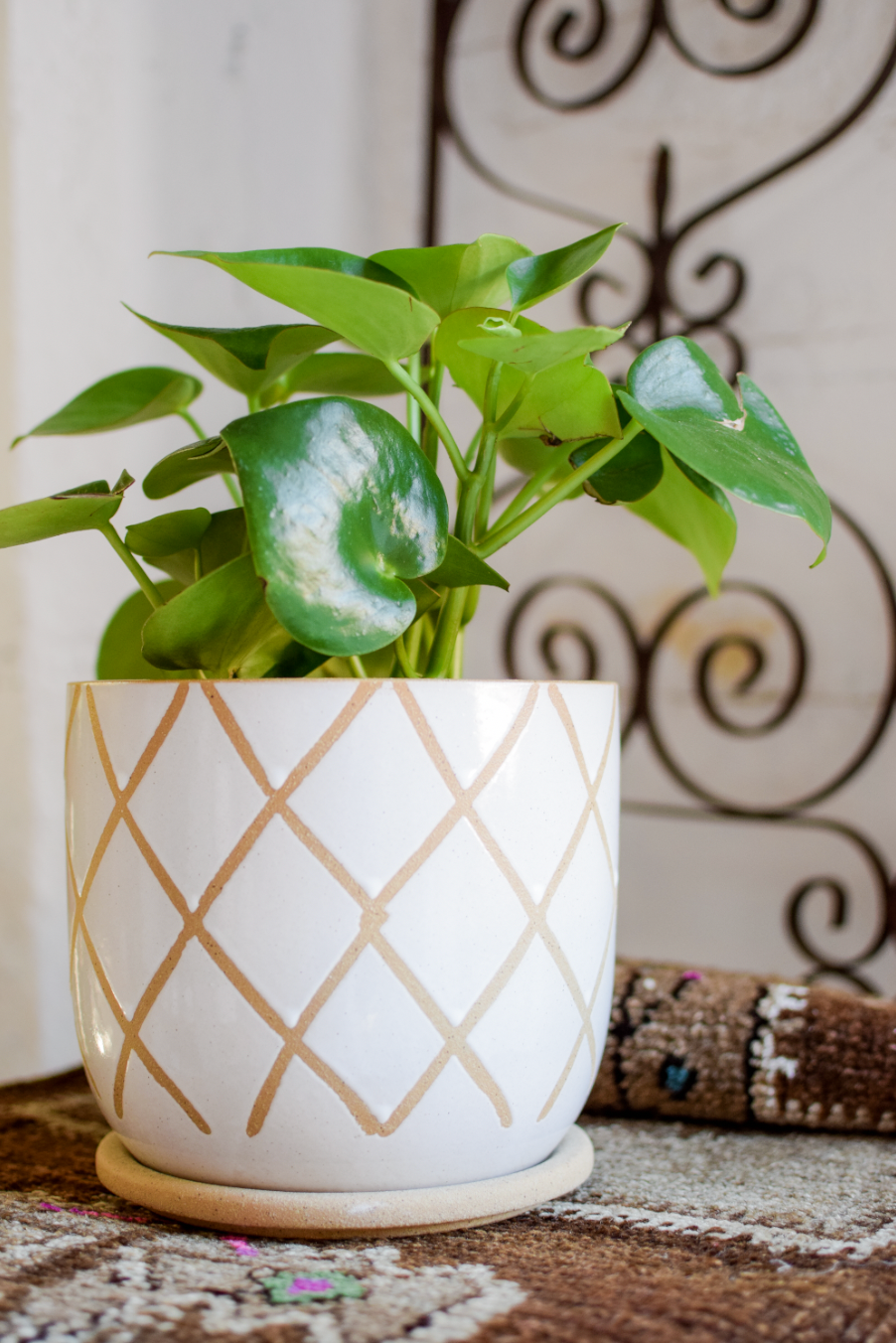 8" Tic Pot