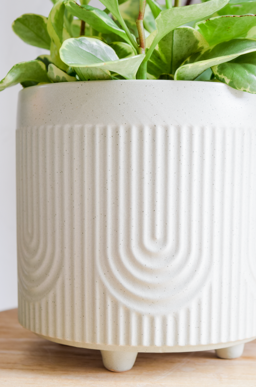 8" Deco Footed Planter