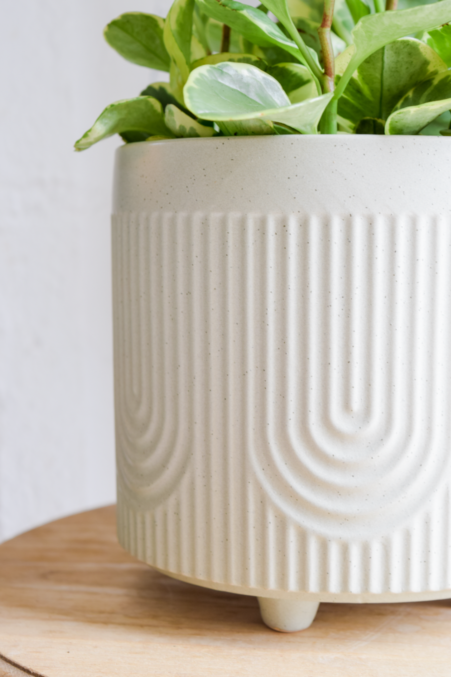 8" Deco Footed Planter