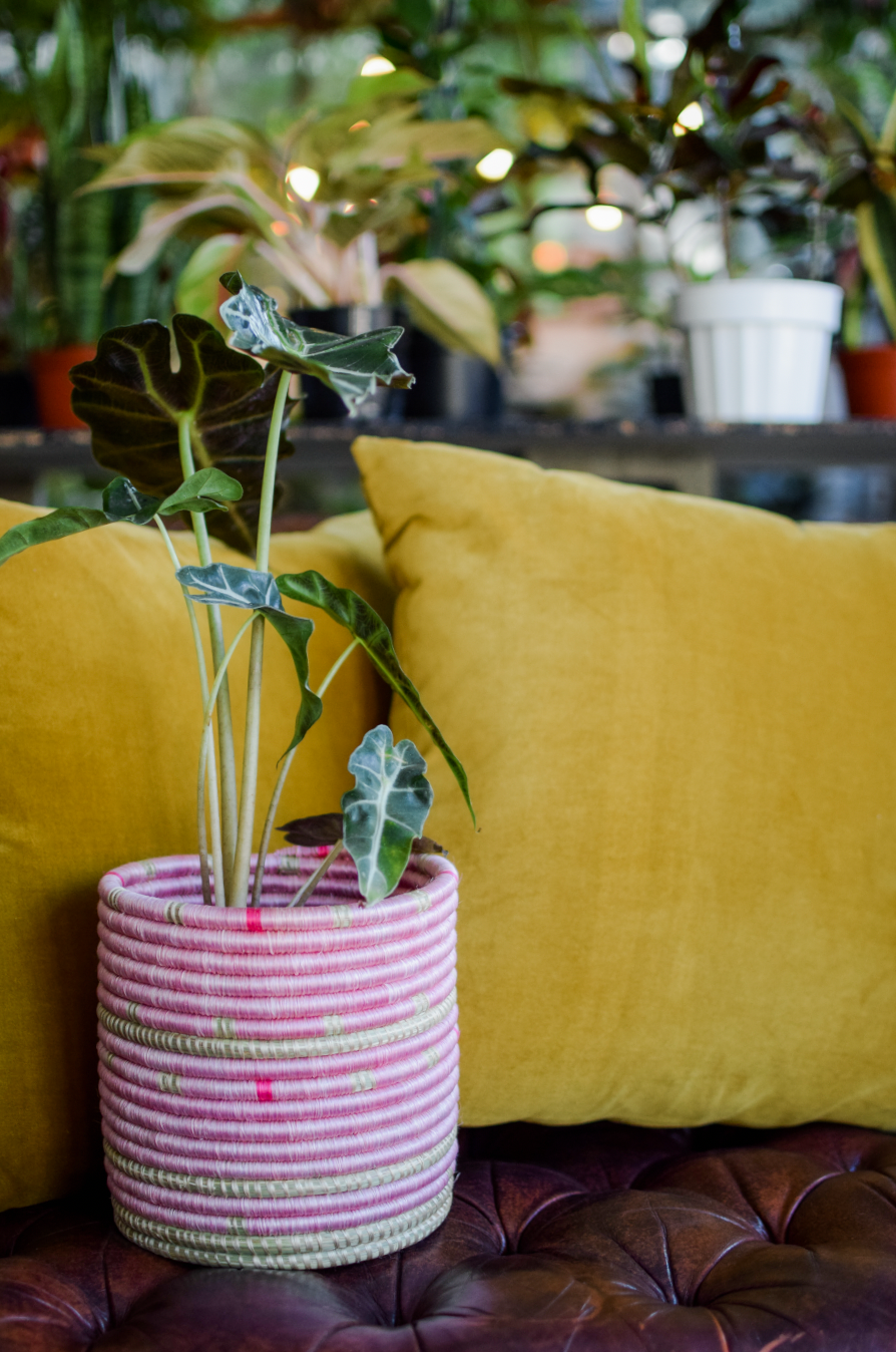 8" Muya Woven Basket