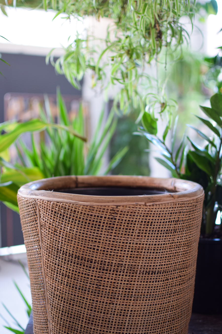 13" Dale Rattan Planter