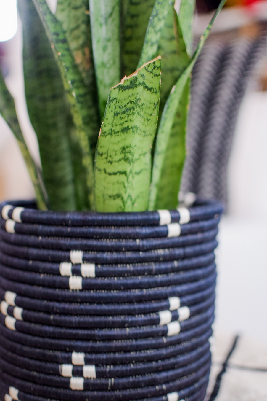8" Lakuna Woven Basket