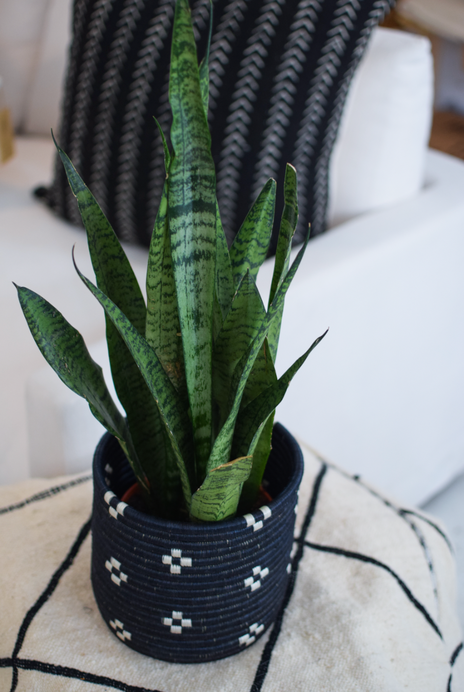 8" Lakuna Woven Basket