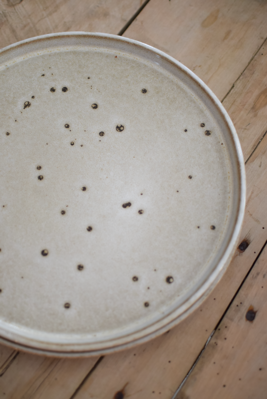 Chocolate Chip Dinner Plate