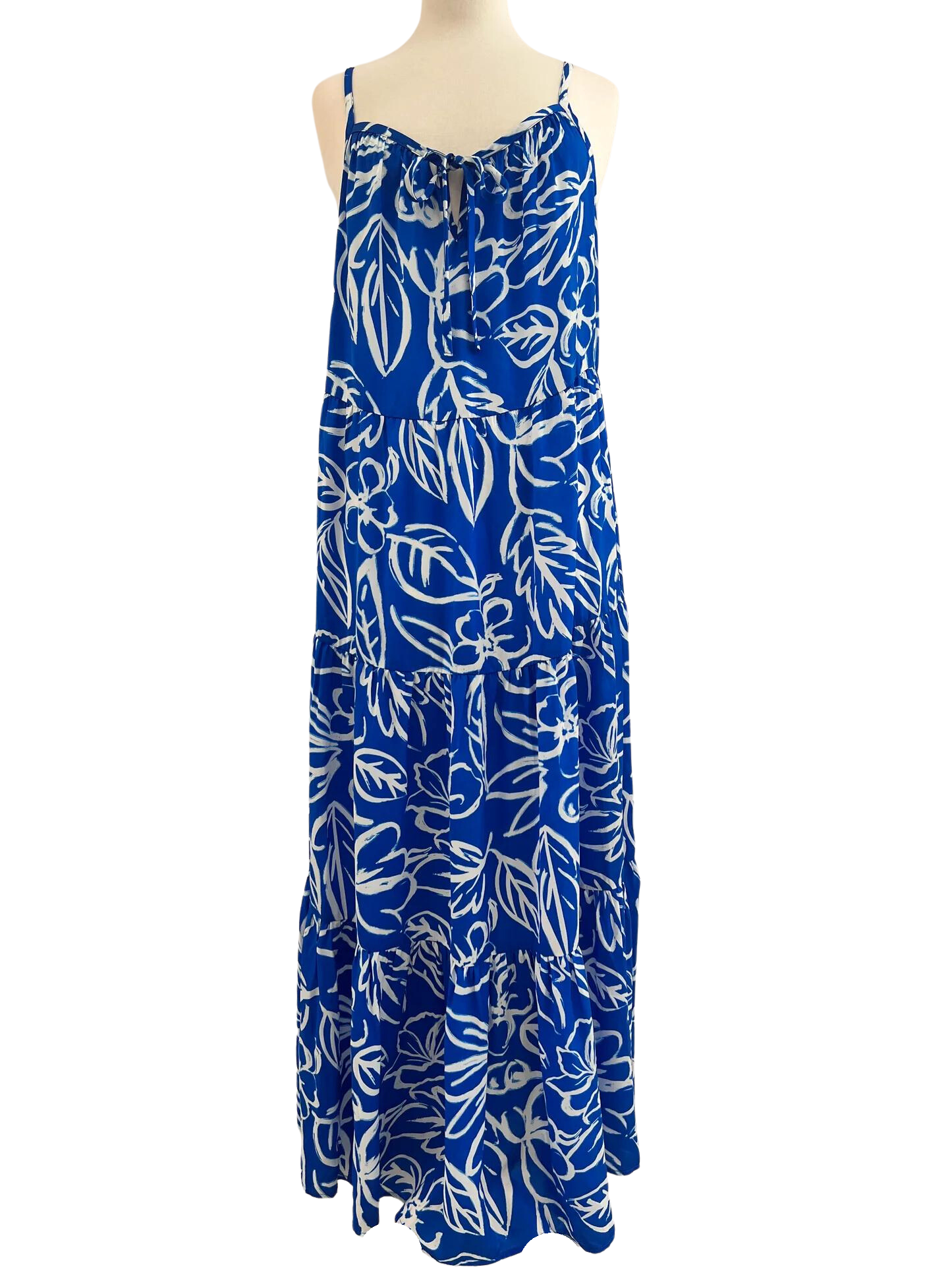 Colbert Blue Floral Maxi Dress Extended