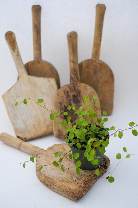 Decorative French Chopping Boards