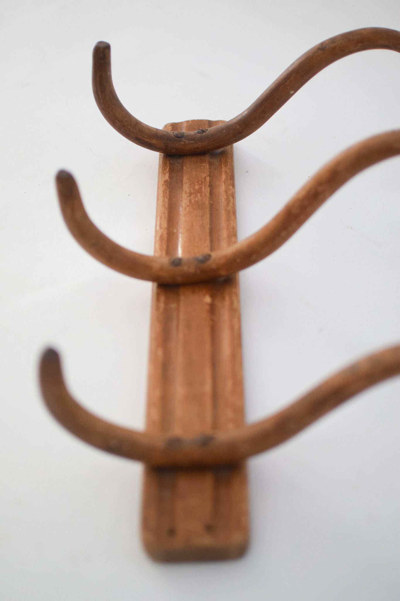 Dion French Bentwood Wall Hook