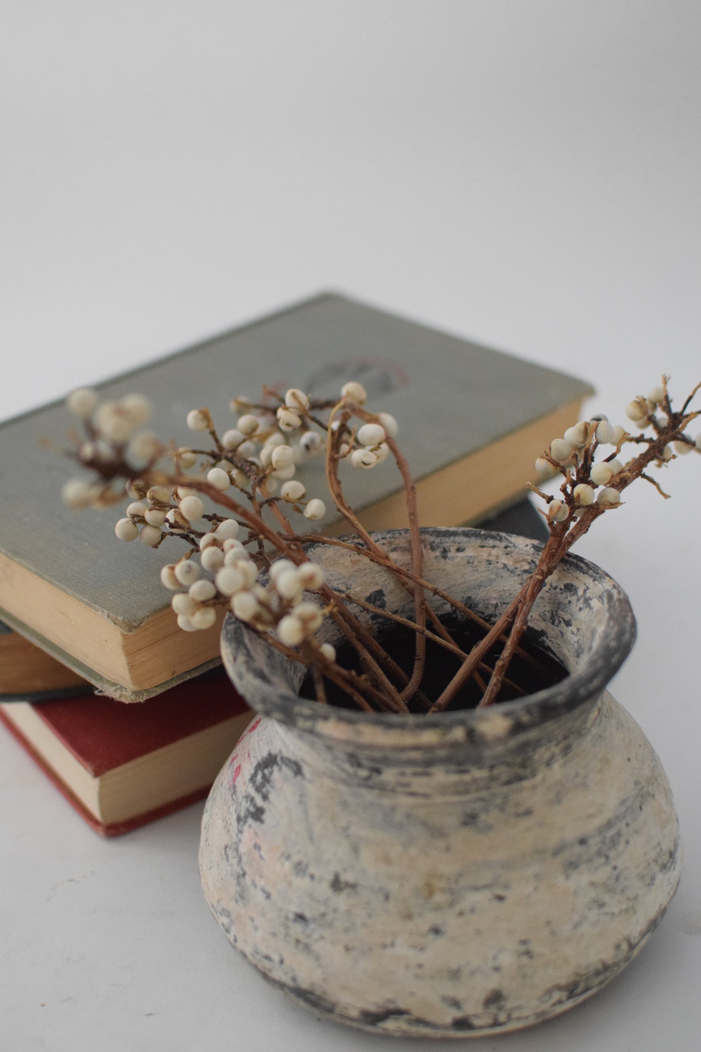 French Capucine Clay Pot