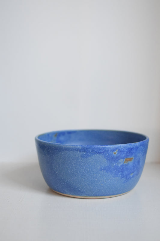 Tidepool Bowl