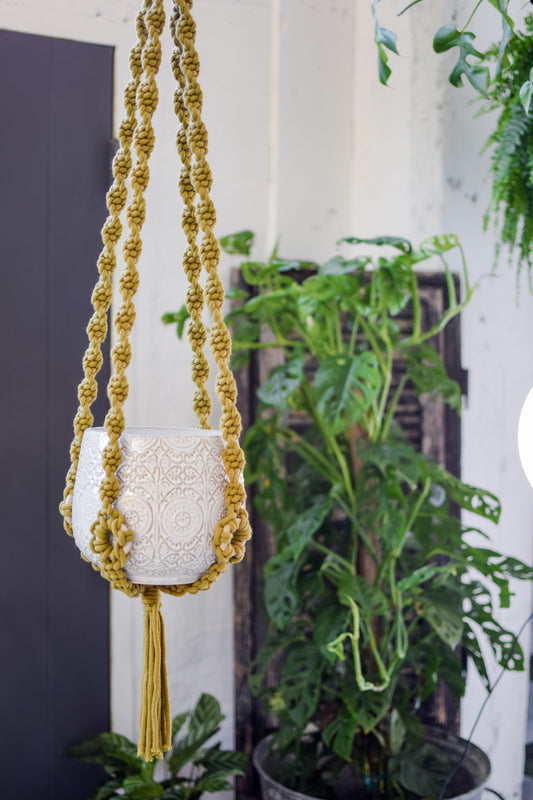45" Mossy Plant Macramé Hanger