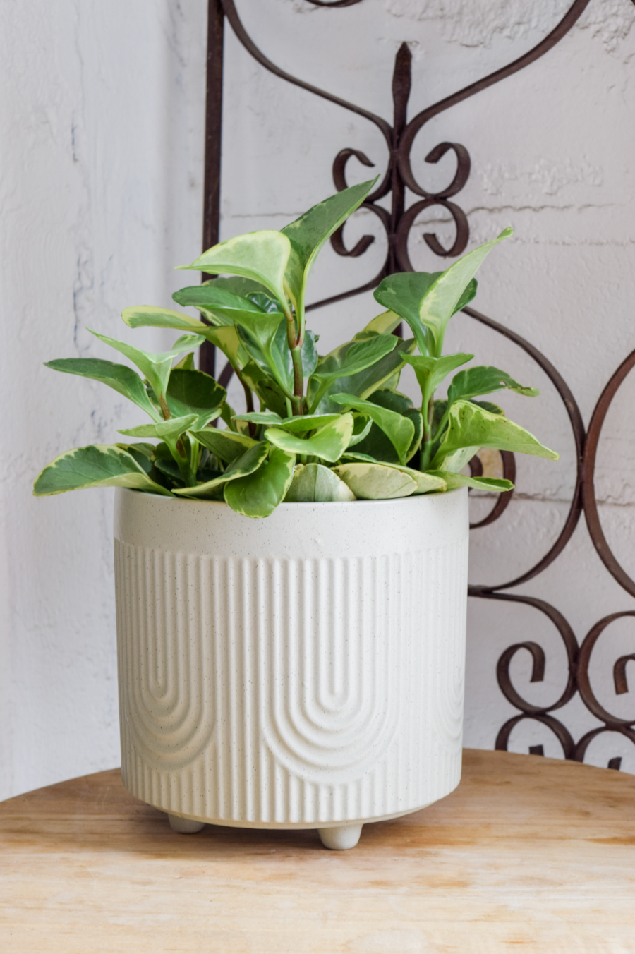 8" Deco Footed Planter