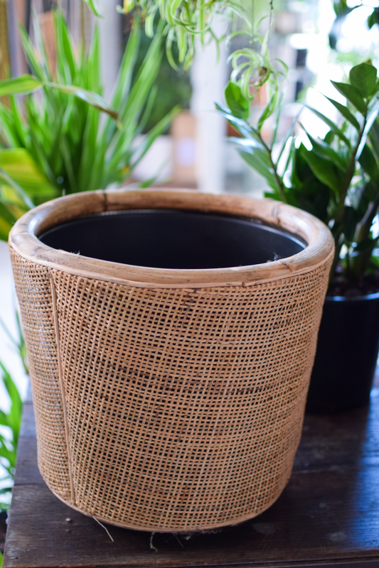 13" Dale Rattan Planter