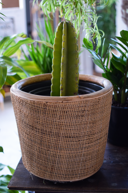 13" Dale Rattan Planter